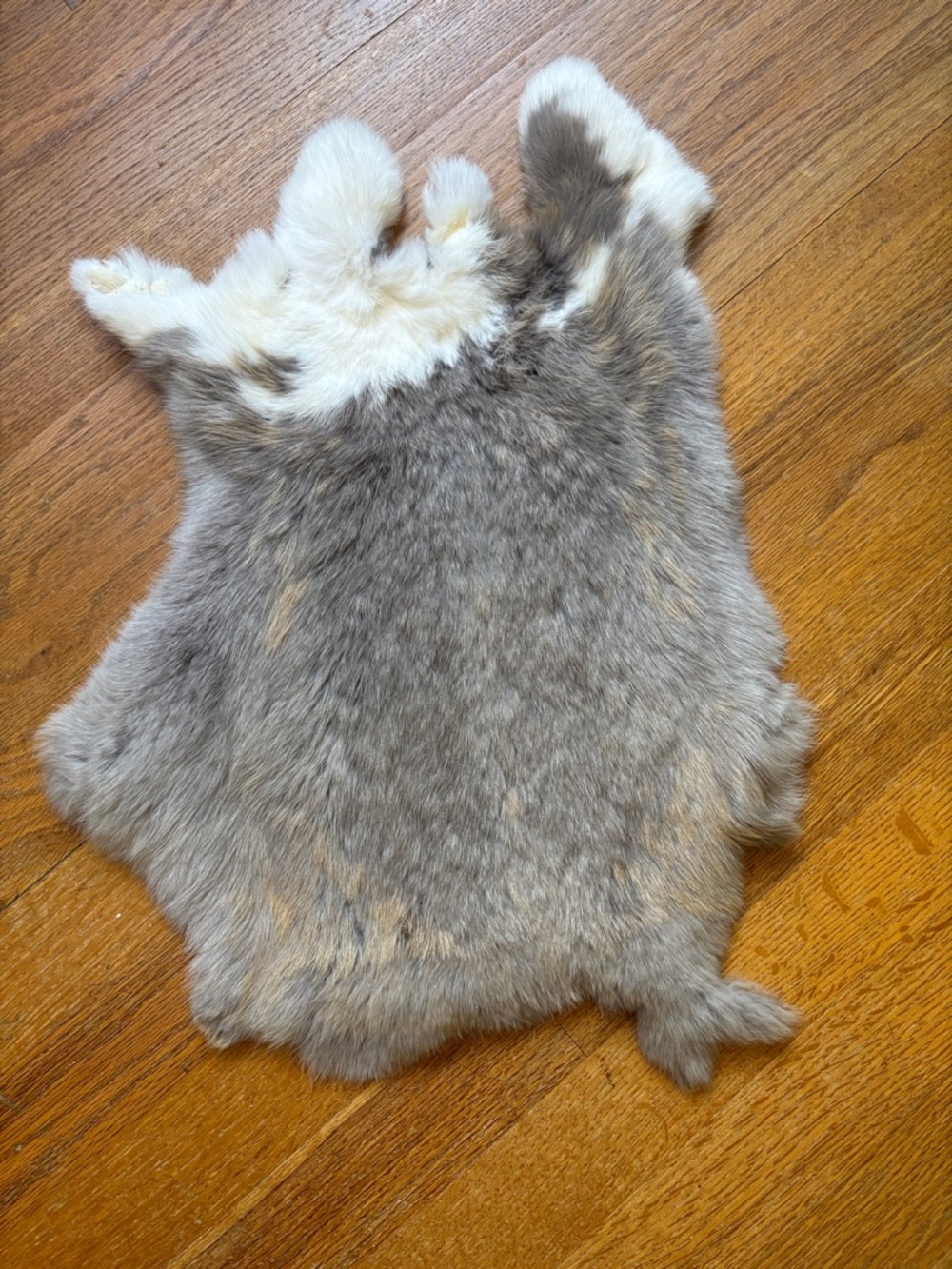 B0005 Gray and Cream Rabbit Fur Pelt